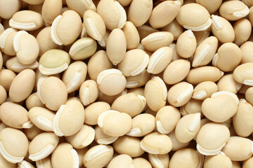 Dolichos, for backgrounds or textures