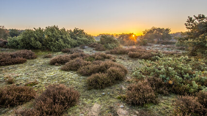 Heathland in hilly terrain on a cold morning
