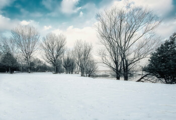 Fototapeta na wymiar overview on a snowy landscape