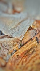 Abstract Dried banana leaves.nature background with dried banana leaves