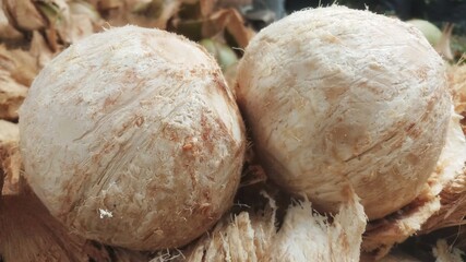 Young Coconut on Coconut Shell Coconut is a tropical fruit that is sweet and fragrant.