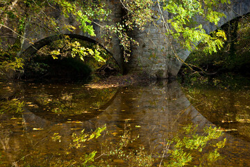 Forest in autumn. Gorbeia Natural Park, Altube, Alava, Basque Country, Spain, Europe