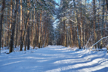 zimowy krajobraz, droga przez las