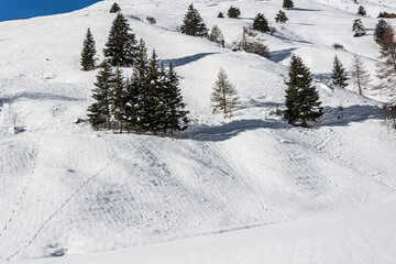 Paesaggio invernale innevato in alta Vallecamonica