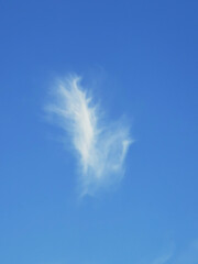 chmurka piórko na przejrzystym niebie © Joanna