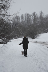 Person in black coat running in winter forest with a Yorkshire terrier dog