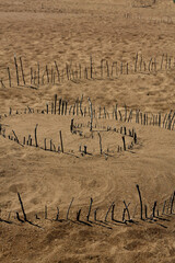 wooden stick swirl design in sand at beach