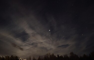 Naklejka premium star filled sky over dark forest