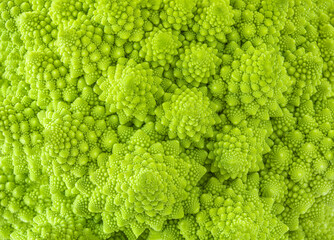 Romanesco broccoli or Roman cauliflower textured  background. Healthy  Vegan Food concept....