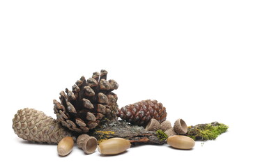 Pine cones with acorns and mossy tree bark pile, isolated on white background © dule964