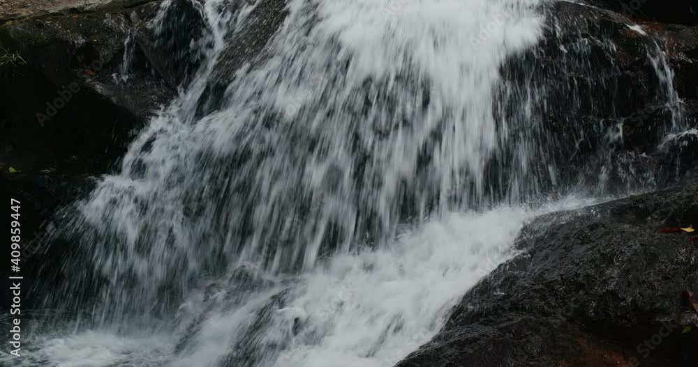 Poster Waterfall in the rain forest