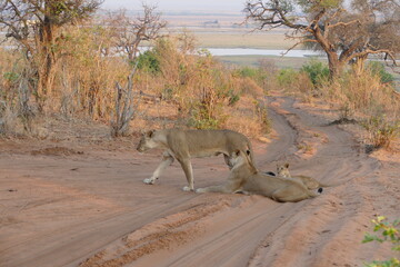 Es war so schön ....