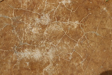 Rock texture surface background