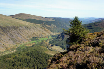 Confluence of Fraughan Rock Glen and Glenmalure Valley.Wicklow Mountains.Ireland.