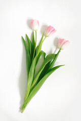 Pink tulips on a white background. Birthday. Happy women's day. Mother's Day. Valentine's Day. Flowers composition romantic. Flat flat, top view, copy space