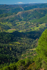 Fototapeta na wymiar Parque Natural Sierra de Cardeña y Montoro,Cordoba, Andalucía, España