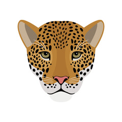 Jaguar head. Cartoon portrait of redhead beast of wildlife, symbol of hunting, vector illustration front face of aggressive cat isolated on white background © ssstocker