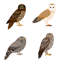 Different owl set. Cartoon beautiful forest flying character of ornithology, night birds with brown feathers, vector illustration of owles isolated on white background