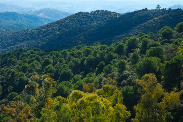 Parque Natural Sierra de Cardeña y Montoro,Cordoba, Andalucía, España