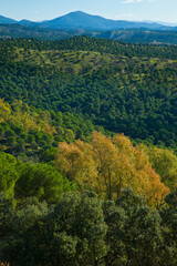 Parque Natural Sierra de Cardeña y Montoro,Cordoba, Andalucía, España