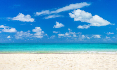 Fototapeta na wymiar beach and tropical sea