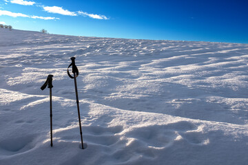 Gita sulla neve con bastoncini
