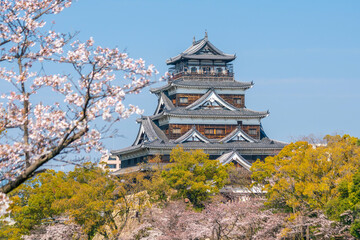 Hiroshima Castle During Cherry Blossom Season in Japan  day time