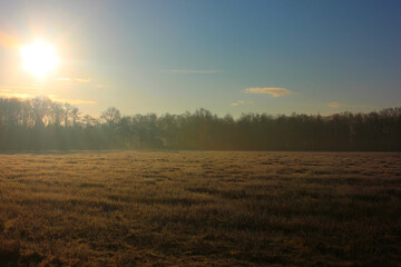 Fototapeta na wymiar Bright sunlight illuminates a Dutch pasture landscape. Photo was taken on a cold winter morning.