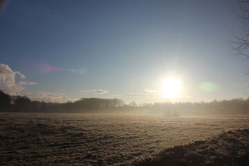 Bright sunlight illuminates a Dutch pasture landscape. Photo was taken on a cold winter morning.