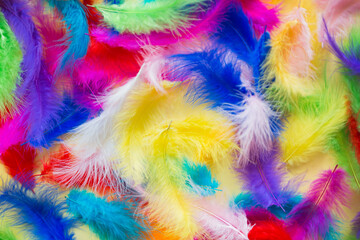 Fototapeta na wymiar background of bright multicolored painted feathers
