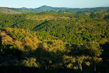 Fototapeta premium Parque Natural Sierra de Cardeña y Montoro,Cordoba, Andalucía, España