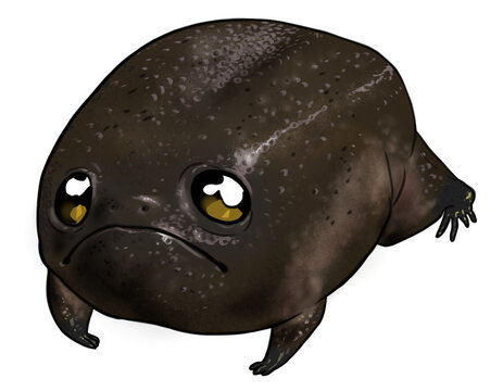 Digital illustration of a cartoon black rain frog (Breviceps fuscus)