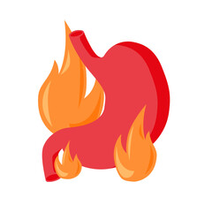 Stomach. Human internal organs. Digestive system anatomy. Heartburn. Gastroesophageal reflux disease. Stomach GERD heartburn esophagus. Vector illustration 