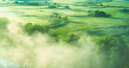 Lovely green field covered with morning mist