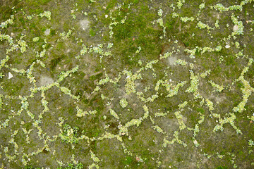 Texture of the surface of a wild stone, rock, or block. Natural material