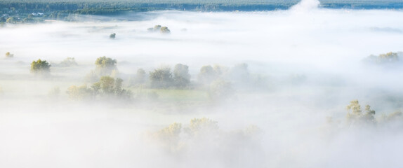 Morning field covered with thick mist