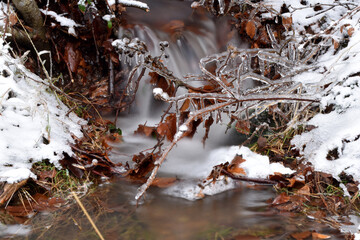 Bach und Buchen im Winter