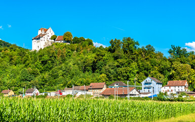 Fototapeta na wymiar View of Wildegg Castle above a cornfield. Aargau, Switzerland