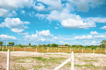 Color Field Farm