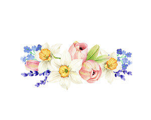 delicate spring bouquet of flowers with tulips and daffodils illustration watercolor, hand painted on white background for invitations, decor and design