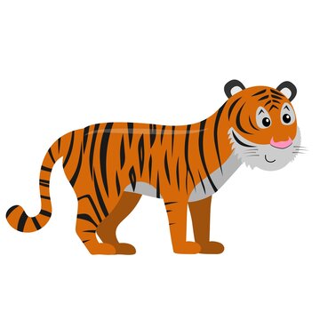 cute cartoon flat tiger from side, vector isolated on white, illustration for children