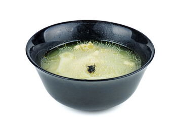 Dead fly in the bowl of soup. White background