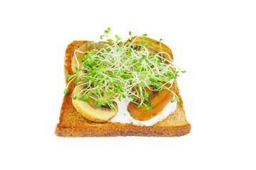 Green alfalfa sprouts, grilled portabello mushrooms on toasted slices of wholegrain bread on white background