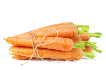 Bunch of fresh carrots tied rope isolated on white