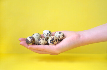 A woman's hand holds a handful of quail eggs. Keto diet, Easter, advertising. Isolated on a yellow background, side view.