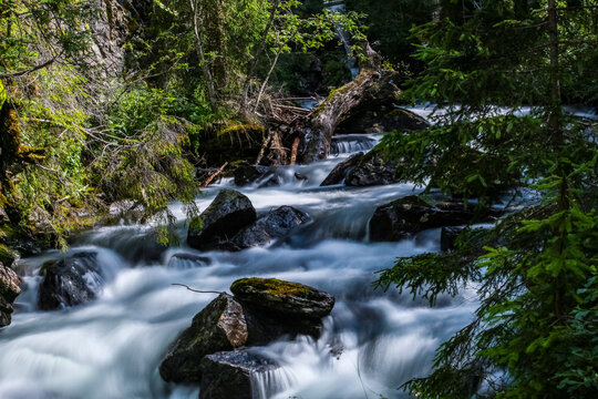 waterfall in the forest