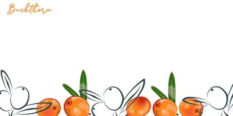 Colored border of sea buckthorn. © OlgaGersh