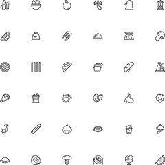 icon vector icon set such as: kebab, caffeine, platter, honeydew, grid, aroma, shake, stick, muffin, ham, shish, drumstick, potholder, celebrate, capellini, clothing, burn, fungi, suillus, yogurt
