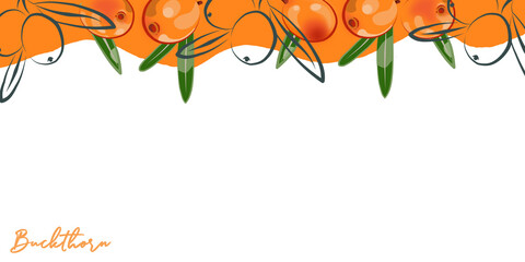 Colored border of sea buckthorn. © OlgaGersh