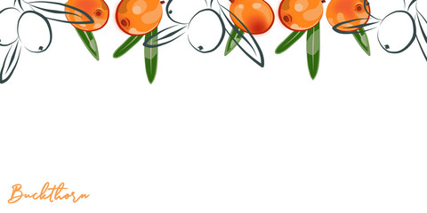 Colored border of sea buckthorn. © OlgaGersh